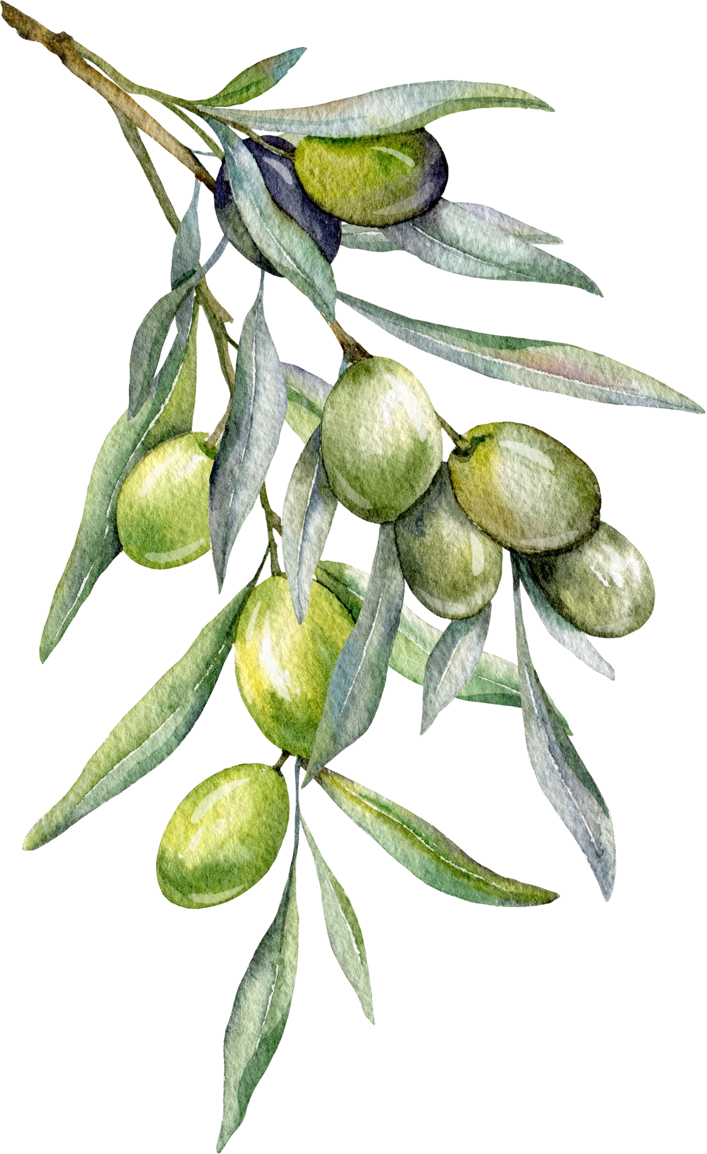 gite familial 6 personnes près d'albi, gite avec piscine albi