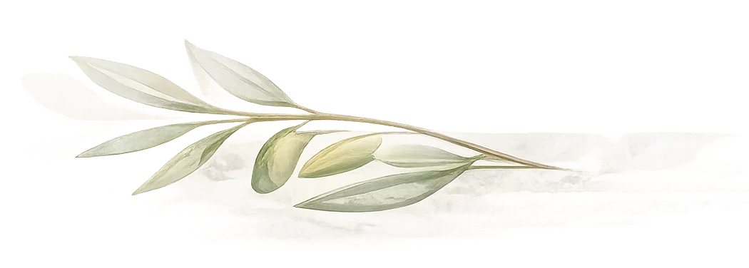 Gites clos des oliviers