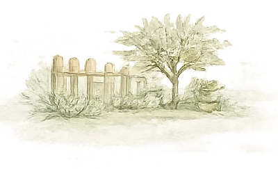 Gite avec jardin au calme; gite dans la nature pour famille avec enfant